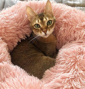 Marshmallow Cat Bed