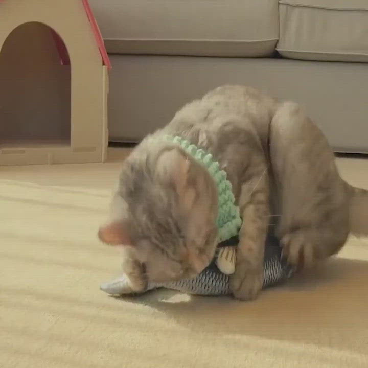 Floppy Fish Cat Toy